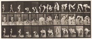 419-es tányér. WC, lehajlás, vállakra dobás alkotó: Eadweard Muybridge