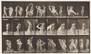Tányér 429. WC; Két modell, 1 Disrobing 8, 1872-1885 alkotó: Eadweard Muybridge