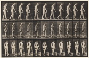 42. tányér. Séta, vízöntés a kancsóból alkotó: Eadweard Muybridge