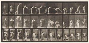 439. tábla. Szőnyeg terítése a padlón, 1872-1885 alkotó: Eadweard Muybridge