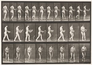 43. tábla. Séta, vízpermetezés a medencéből, megfordulás alkotó: Eadweard Muybridge