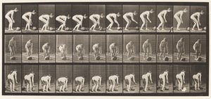 442. tábla. Lehajlás és kő gördülése a földön alkotó: Eadweard Muybridge