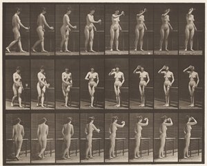 443. tányér. Serlegből ivás állva alkotó: Eadweard Muybridge