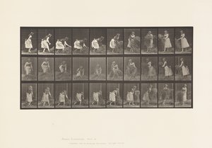 458. tányér. Marék széna felemelése, megfordítása, ledobása alkotó: Eadweard Muybridge