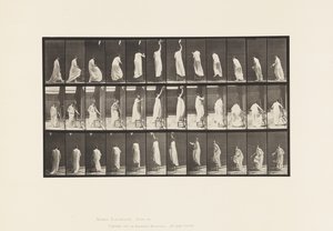 459. tábla. Székre lépés, felnyúlás és leszállás, 1885 alkotó: Eadweard Muybridge