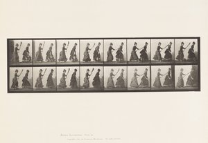 464. tábla. Két modell, 16 Chasing 4 seprűvel, 1885 alkotó: Eadweard Muybridge