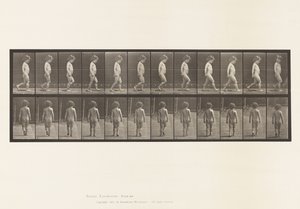 467. tábla.Gyermek, Séta, 1885 alkotó: Eadweard Muybridge