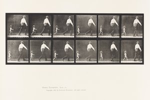470. tábla. Gyermek 20N, Futás egy férfi után alkotó: Eadweard Muybridge