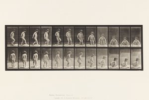 476. tányér.Gyermek, leül a földre alkotó: Eadweard Muybridge
