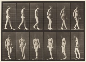 47. tábla. Séta és megfordulás alkotó: Eadweard Muybridge