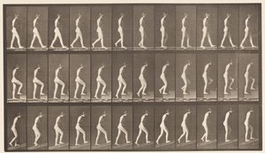 tábla 482. A, Séta; B, felszálló lépcsők; C, növekvő lejtő, 1872-1885 alkotó: Eadweard Muybridge