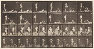 485. tábla. Két modell; A, 10 Serleget állva és töltve;, 1872-1885 alkotó: Eadweard Muybridge