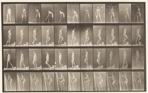 tábla 486. A, Gyeptenisz; B, Ascending a Step;, 1872-1885 alkotó: Eadweard Muybridge