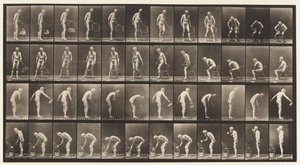 tábla 490. A, Ülés; B, Ülés; C, permetező víz alkotó: Eadweard Muybridge