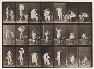 493. tábla. A WC vegyes fázisai, 1872-1885 alkotó: Eadweard Muybridge