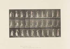 495. tábla. A WC vegyes fázisai alkotó: Eadweard Muybridge