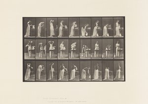 496. tábla. A WC vegyes fázisai, 1885 alkotó: Eadweard Muybridge
