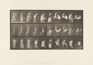 497. tábla. A WC vegyes fázisai, 1885 alkotó: Eadweard Muybridge