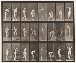 499. tábla Széna gereblyézése és pakolása, 1872-1885 alkotó: Eadweard Muybridge