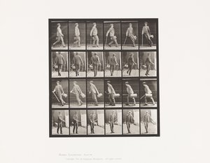 49. tábla. Gyors járás és megfordulás alkotó: Eadweard Muybridge