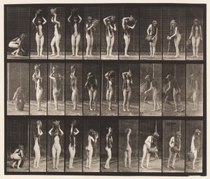 500-as tányér. Különféle mozgások víz-edényben alkotó: Eadweard Muybridge