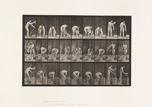 tábla 505. Kőműves alkotó: Eadweard Muybridge