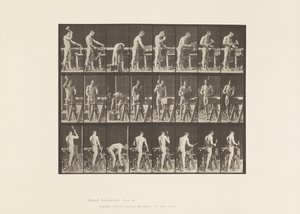 tábla 507. Ács alkotó: Eadweard Muybridge
