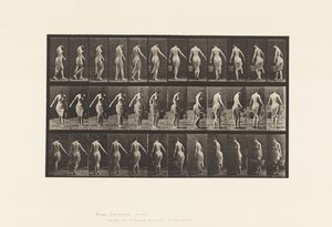 50. tányér. Séta, vödör cipelése alkotó: Eadweard Muybridge