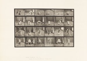 511. tábla. Eltorzulások a talajon alkotó: Eadweard Muybridge