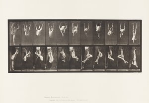 512. tábla. Gyűrűk eltorzulása alkotó: Eadweard Muybridge