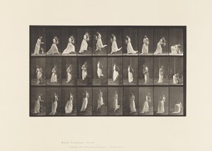 515. tábla. Felmenő és leszálló lépcsők stb., 1885 alkotó: Eadweard Muybridge