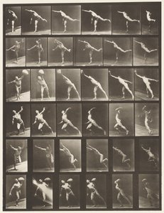 tábla 523. A, Ütés; B, dobókorong; alkotó: Eadweard Muybridge