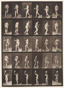 525. A. tábla, leszálló lépcső; B, Ascending Step;, 1872-1885 alkotó: Eadweard Muybridge