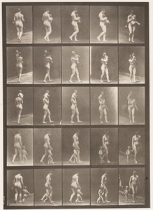 tábla 528. A,B,C alkotó: Eadweard Muybridge