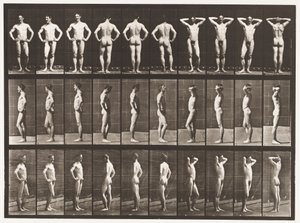530. tábla. Különféle pózok alkotó: Eadweard Muybridge