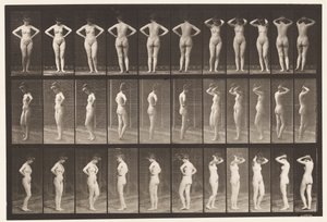 531. tábla. Különféle pózok alkotó: Eadweard Muybridge