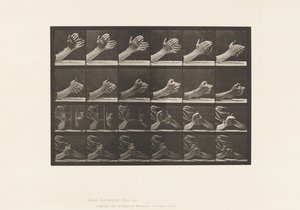 533. tábla. A kéz mozgása; Kézkulcsolás, 1885 alkotó: Eadweard Muybridge