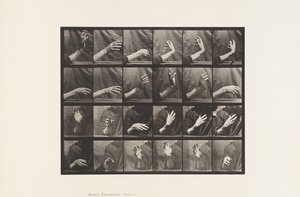 535. tábla. A kéz mozgása; Ütési idő, 1885