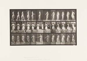 53. tábla. Séta, virágok szórása és fordulás alkotó: Eadweard Muybridge