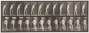 tábla 547.Hemiplegia; Séta mankóval, 1885 alkotó: Eadweard Muybridge