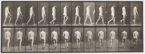 549. tábla.Epilepszia; Séta, 1885 alkotó: Eadweard Muybridge