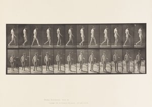 551. tábla.Epilepszia; Séta, 1885 alkotó: Eadweard Muybridge