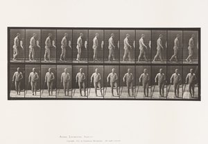 552. tábla.Hemiplegia; Séta bottal, 1885 alkotó: Eadweard Muybridge