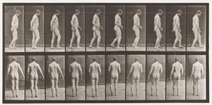553. tábla. Fej traumája után; Séta, 1885 alkotó: Eadweard Muybridge