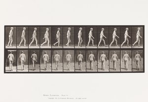 562. tábla. Gerinc oldalirányú görbülete; Séta alkotó: Eadweard Muybridge