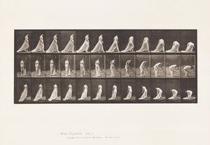56. tábla. Séta, fordulás és lehajlás a vonat felemeléséhez alkotó: Eadweard Muybridge