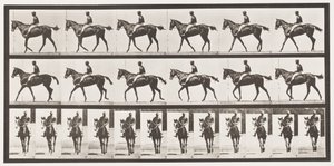 580. tábla.Séta; Nyereg; Telivér Bay Mare Annie G., 1885 alkotó: Eadweard Muybridge