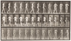 58. tábla. Séta, megfordulás, padlósöprés alkotó: Eadweard Muybridge
