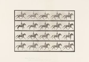 Tányér 591.Ringató alkotó: Eadweard Muybridge
