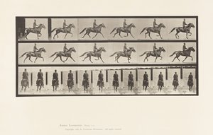 592. tányér. Ringató (Pacing): Nyereg; Brown Horse Pronto alkotó: Eadweard Muybridge